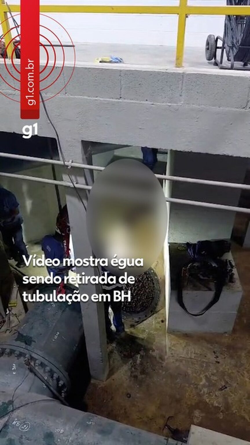 Acidente com Égua Causa Falta de Água na Grande BH: Entenda o Que Aconteceu