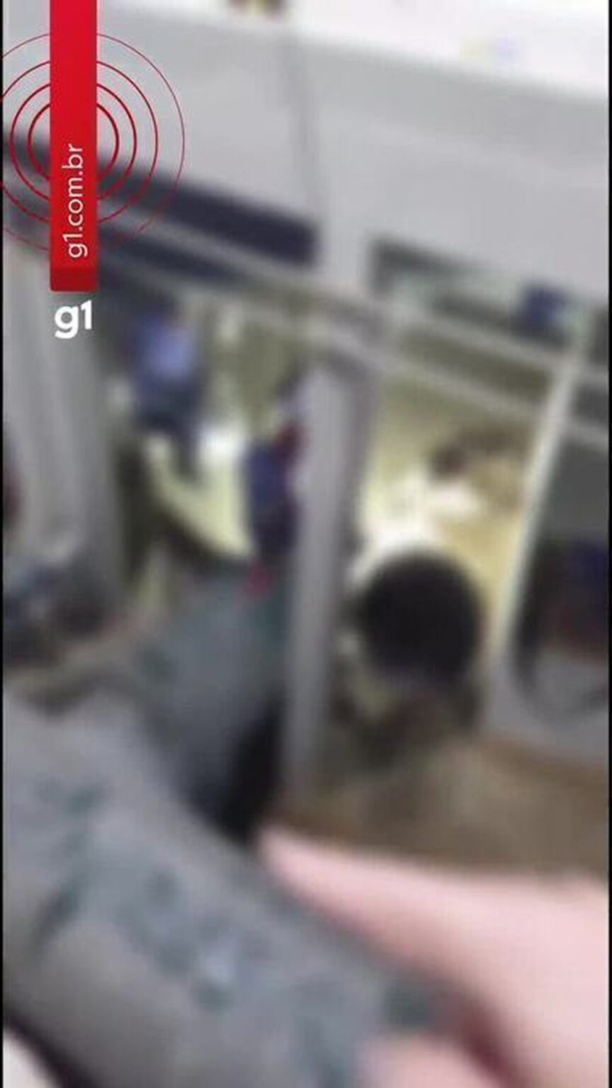 Égua causa falta d'água em mais de 700 bairros de BH; vídeo registra resgate - G1