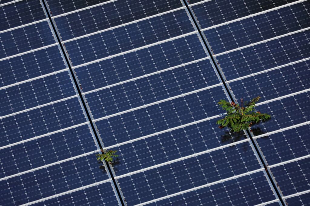 Investimentos em Energia Solar no Brasil Ultrapassam R$ 300 Bilhões