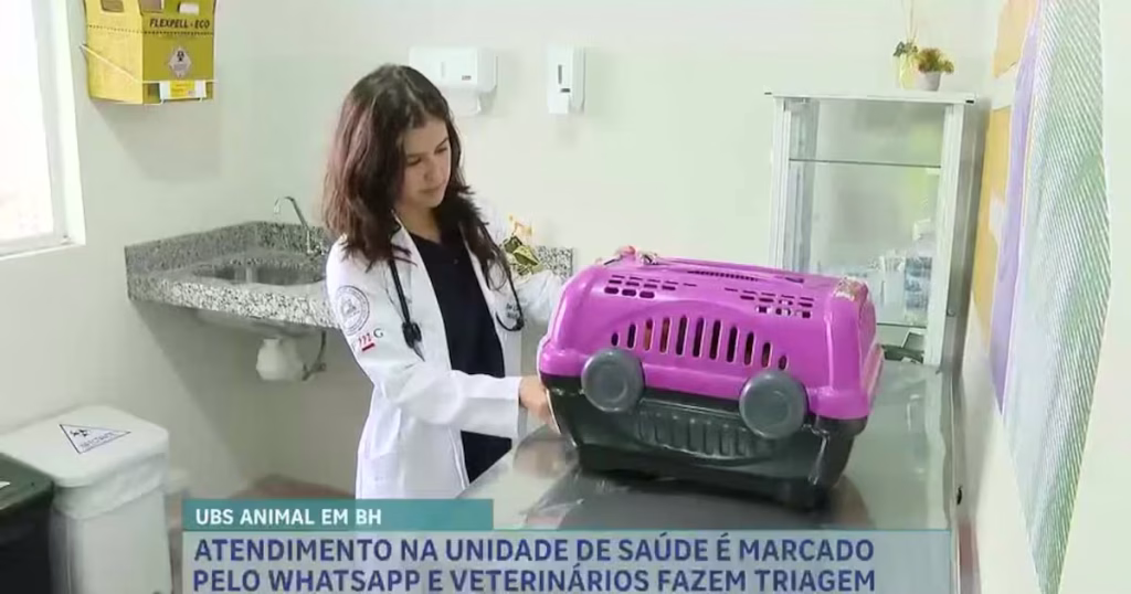 Unidade Básica de Saúde Animal Inaugurada em Belo Horizonte – Atendimento Gratuito para Pets Unidade Básica de Saúde Animal Inaugurada em Belo Horizonte – Atendimento Gratuito para Pets