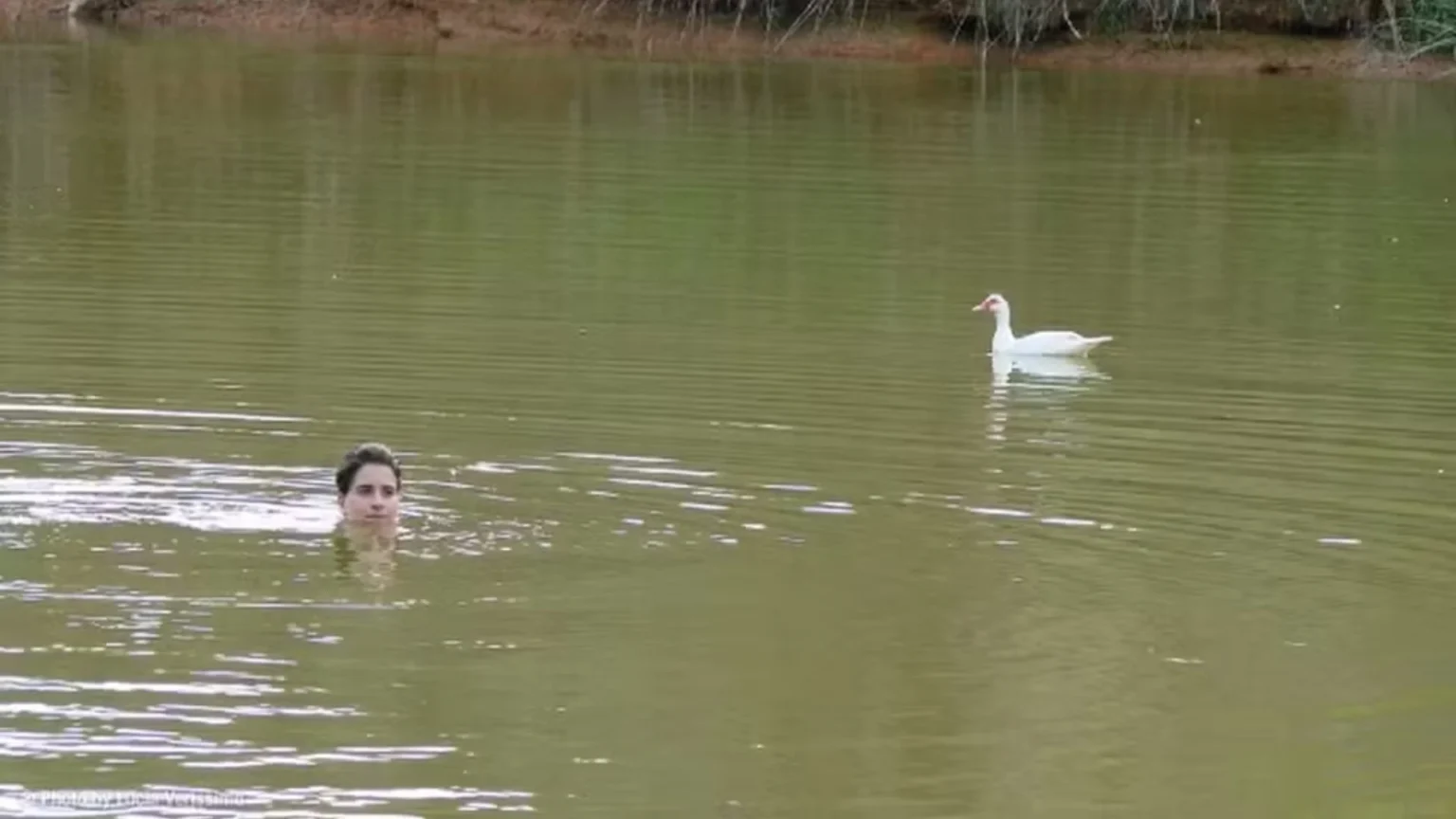 Aos 68 anos, Lúcia Veríssimo encontra na fazenda em Minas o equilíbrio entre arte e natureza Aos 68 anos, Lúcia Veríssimo encontra na fazenda em Minas o equilíbrio entre arte e natureza