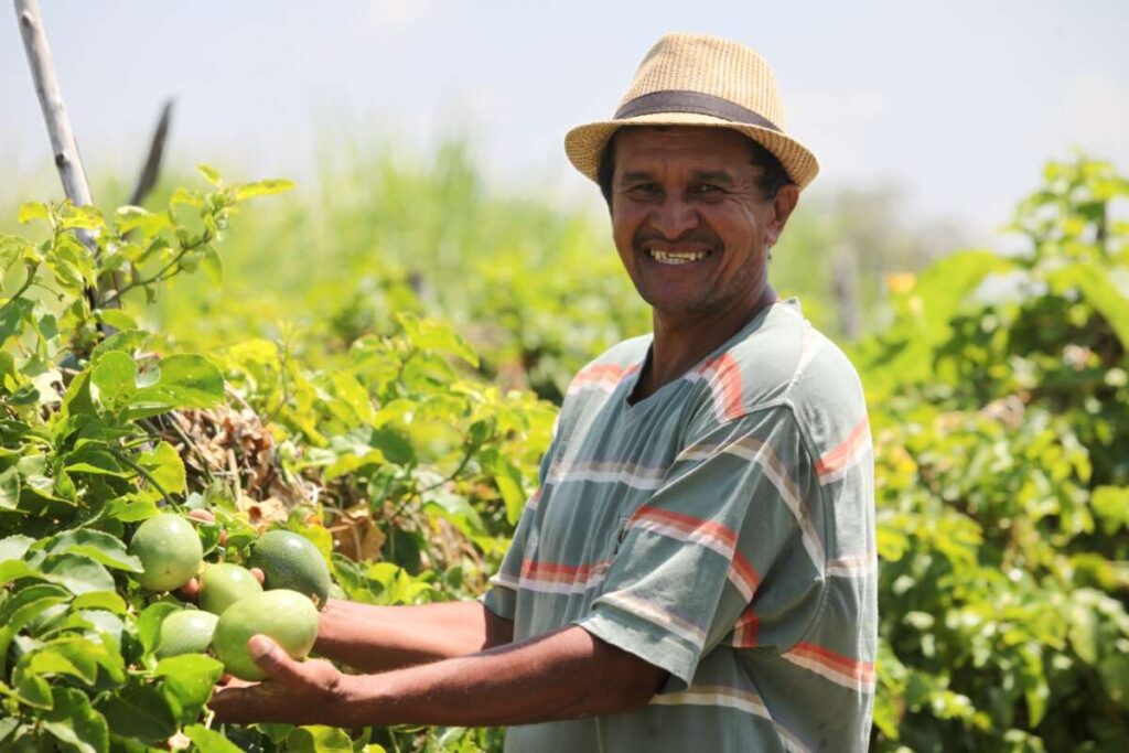 Garantia Safra: R$ 25,4 milhões em apoio a 116 mil agricultores no Ceará Garantia Safra: R$ 25,4 milhões em apoio a 116 mil agricultores no Ceará