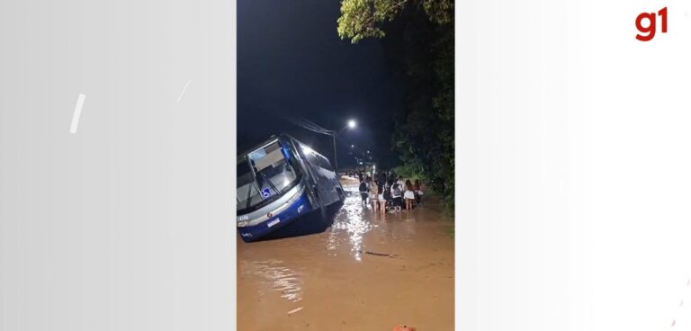 Acidente com Ônibus de Turismo em SC: Motorista Desvia e Veículo Sai da Pista Acidente com Ônibus de Turismo em SC: Motorista Desvia e Veículo Sai da Pista