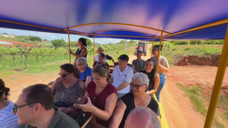 Turismo Rural: Uma Experiência Transformadora que Gera Renda no Campo Turismo Rural: Uma Experiência Transformadora que Gera Renda no Campo