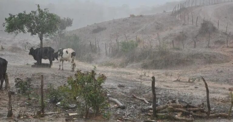 Alerta de Chuvas Fortes no Sertão de Pernambuco: Serrita Registra 47 mm em 6 Horas Alerta de Chuvas Fortes no Sertão de Pernambuco: Serrita Registra 47 mm em 6 Horas