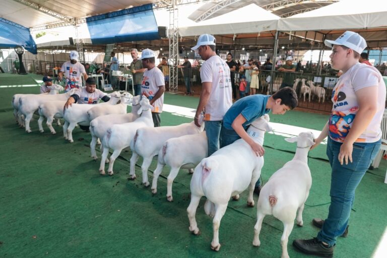 ExpoRajada 2026: Estrutura Ampliada e Leilão de Animais Inédito