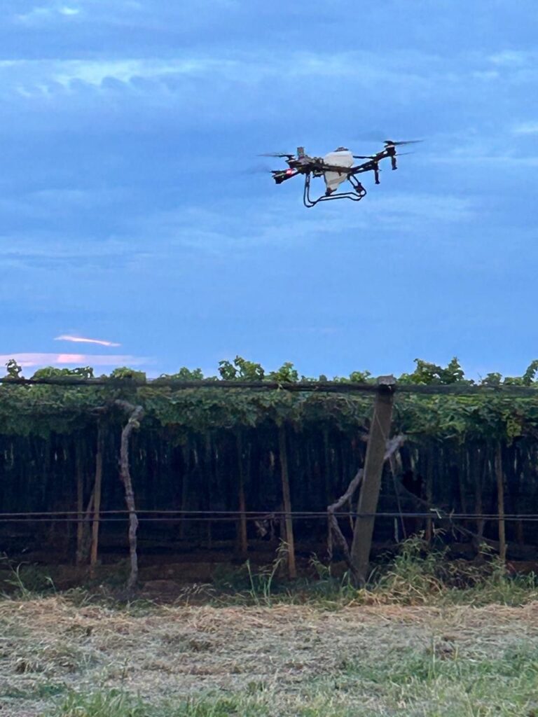 Inovações Tecnológicas Prometem Economia de Água e Maior Produtividade na Fruticultura Inovações Tecnológicas Prometem Economia de Água e Maior Produtividade na Fruticultura