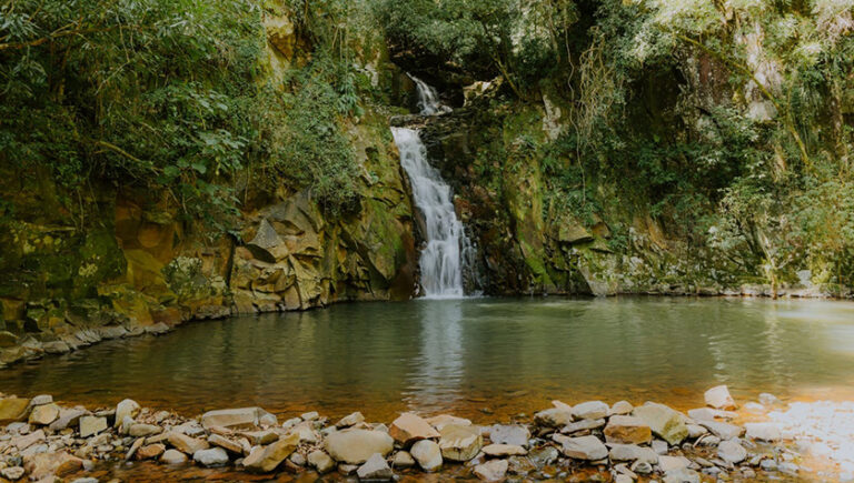 Caminhada Internacional na Natureza: Paraíso do Sul Investe no Turismo Rural Caminhada Internacional na Natureza: Paraíso do Sul Investe no Turismo Rural
