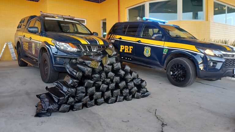 Polícia detém homens com 51 kg de ‘supermaconha’ na BR-428 em Petrolina Polícia detém homens com 51 kg de 'supermaconha' na BR-428 em Petrolina