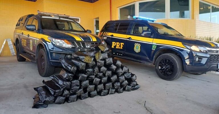 Polícia Rodoviária Federal apreende 51 kg de skunk em Pernambuco e prende dois homens Polícia Rodoviária Federal apreende 51 kg de skunk em Pernambuco e prende dois homens