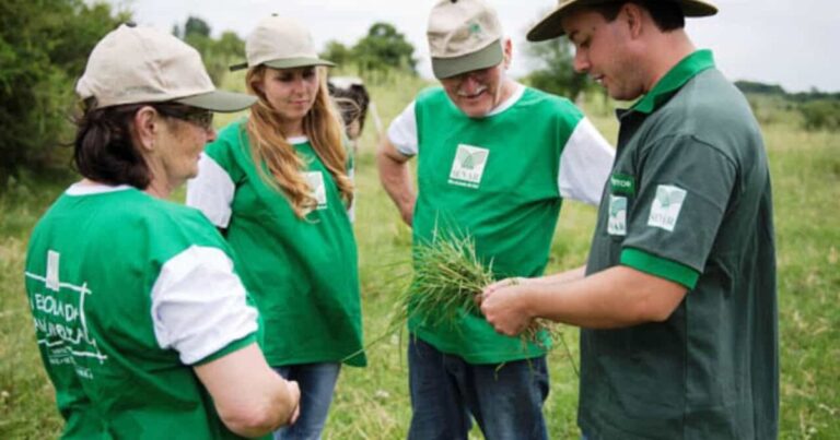 Senar-PE Oferece 180 Vagas em Cursos Técnicos Gratuitos em Pernambuco Senar-PE Oferece 180 Vagas em Cursos Técnicos Gratuitos em Pernambuco
