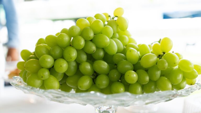 Atenção, Produtores: Como Prevenir Contaminações Bacterianas na Fruticultura