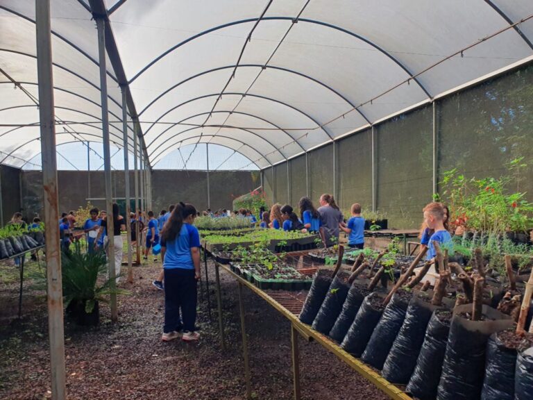 Mais de 50 Alunos Participam de Oficina de Educação Ambiental e Aprendem na Prática