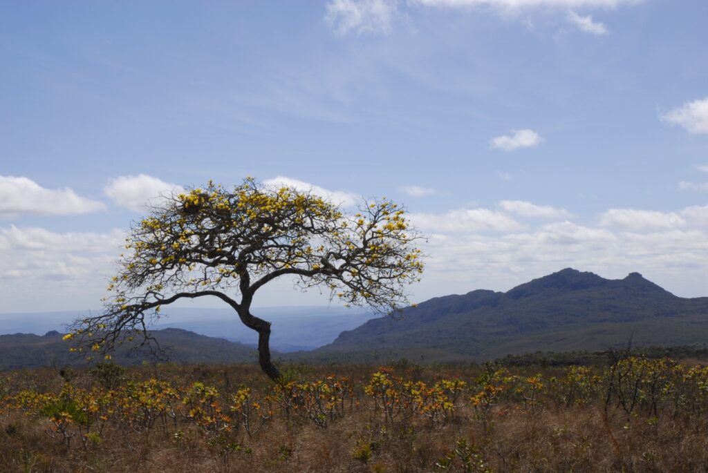 Governo de Minas Inicia Roadshow para Concessão do Parque Estadual do Biribiri