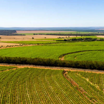 Minas Gerais: Protagonismo na Produção de Etanol Nacional em 2024 Minas Gerais: Protagonismo na Produção de Etanol Nacional em 2024