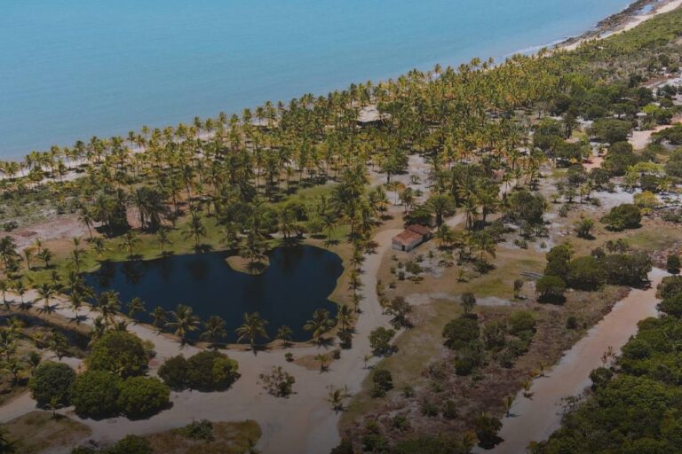 Empreendimento na Bahia é Lançado para a Copa Feminina de 2027: A Visão de Stefan Gast Empreendimento na Bahia é Lançado para a Copa Feminina de 2027: A Visão de Stefan Gast